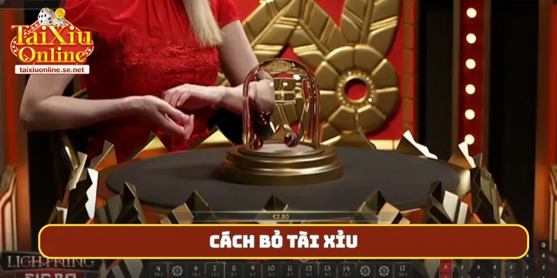 cach bo tai xiu bia 1