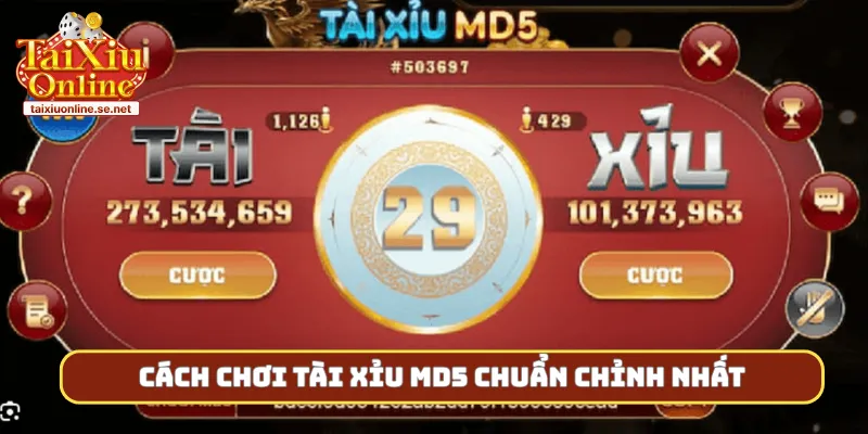 Cách chơi tài xỉu MD5 chuẩn chỉnh nhất