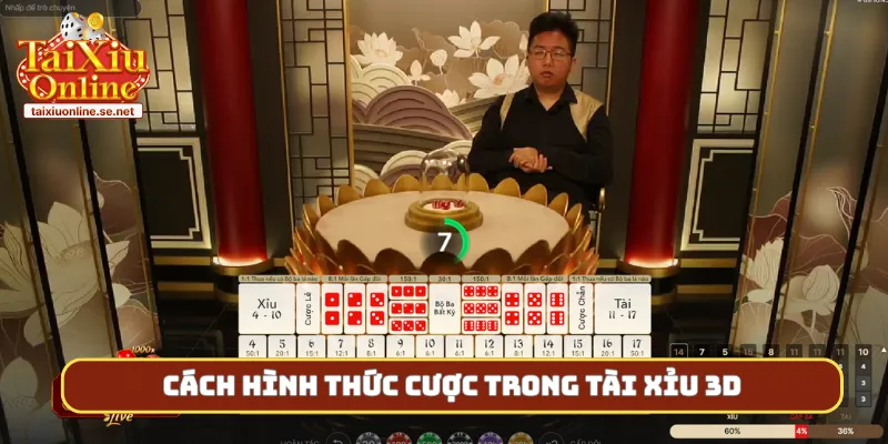 Cách hình thức cược trong tài xỉu 3D