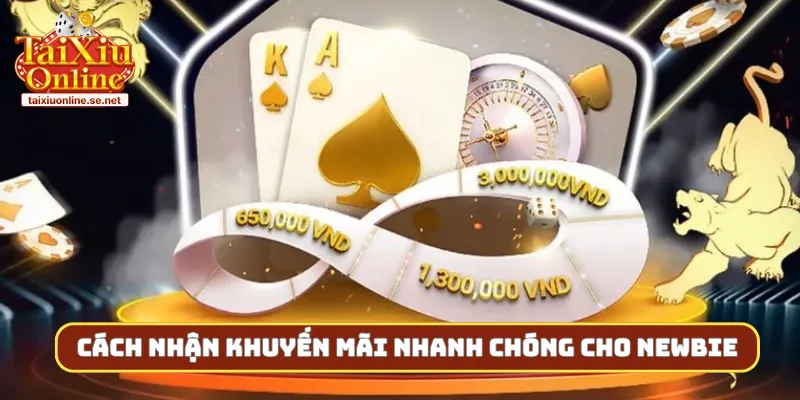 Cách nhận khuyến mãi nhanh chóng cho newbie