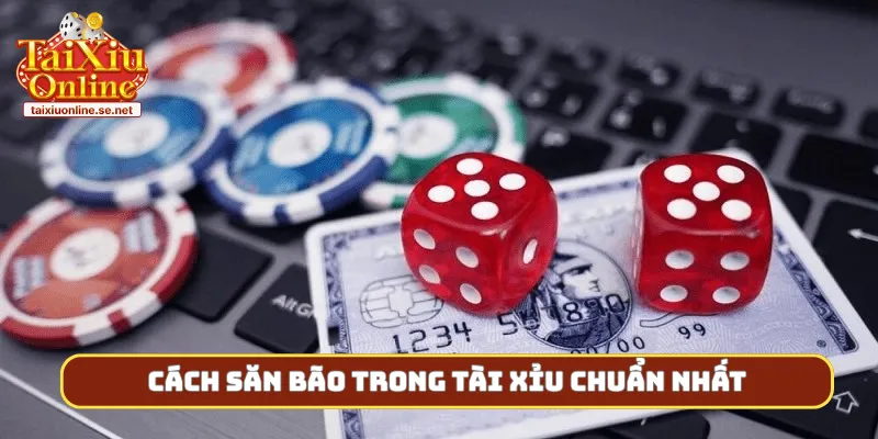 Cách săn bão trong tài xỉu chuẩn nhất