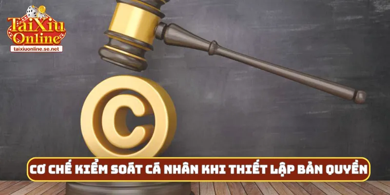 Cơ chế kiểm soát cá nhân khi thiết lập bản quyền