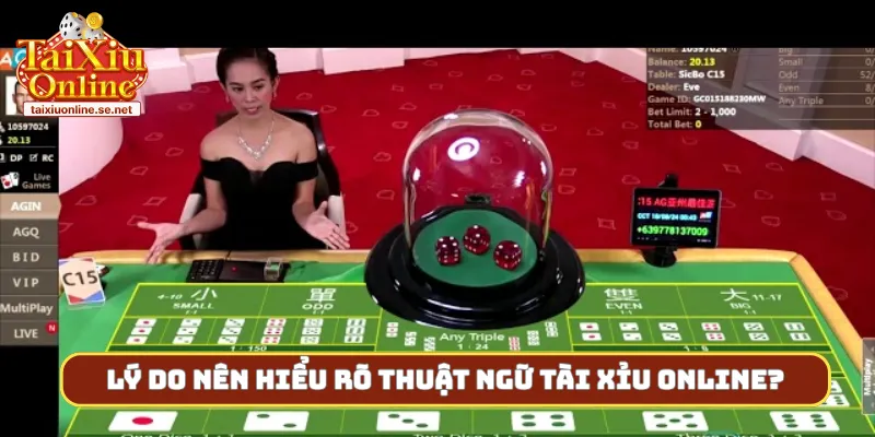 Lý do nên hiểu rõ thuật ngữ tài xỉu online?