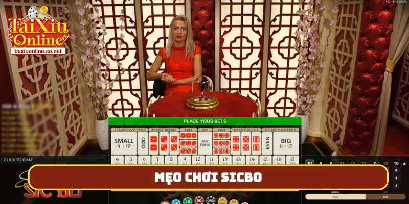 meo choi sicbo bia 1