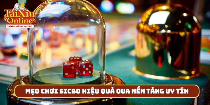 Mẹo chơi Sicbo hiệu quả qua nền tảng uy tín