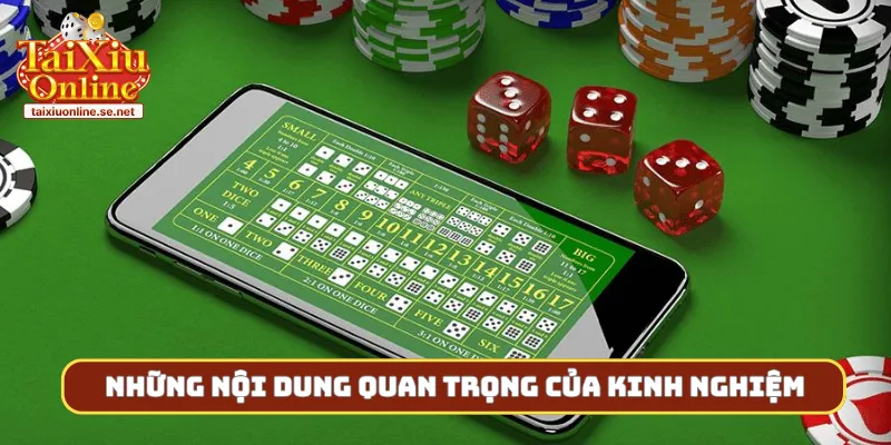Những nội dung quan trọng của kinh nghiệm