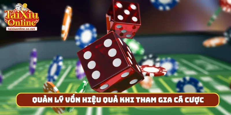 Quản lý vốn hiệu quả khi tham gia cá cược